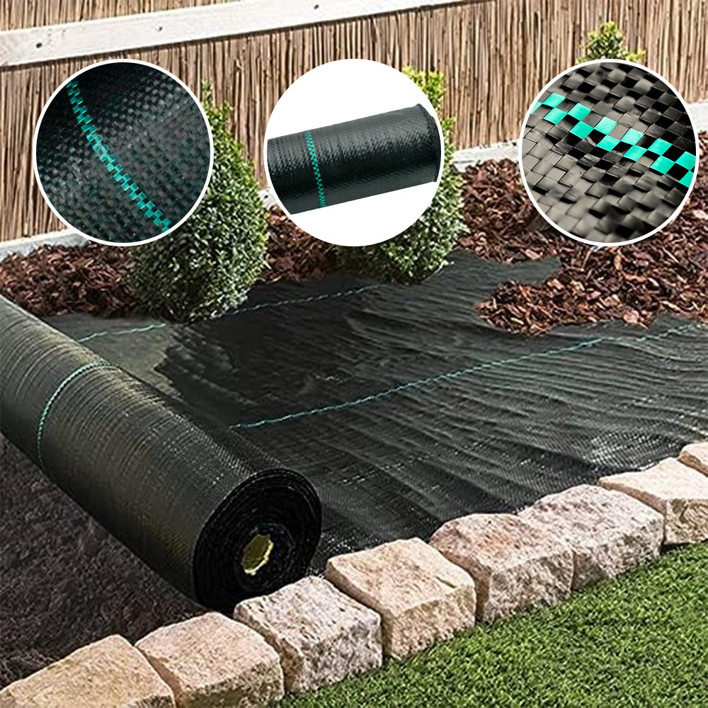 Idee innovative per la barriera contro le erbacce per un giardino che richiede poca manutenzione