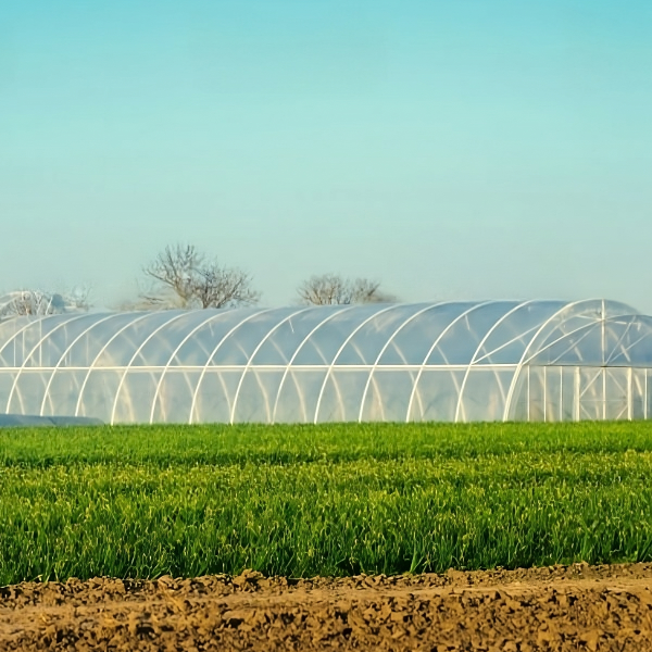 Impatto delle reti di plastica agricole sull'agricoltura