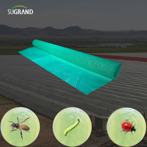 Come installare la rete anti-insetti: una guida fai-da-te per agricoltori e giardinieri