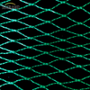 Rete per uccelli Green Bird Net 4x30m per i fornitori del mercato thailandese
