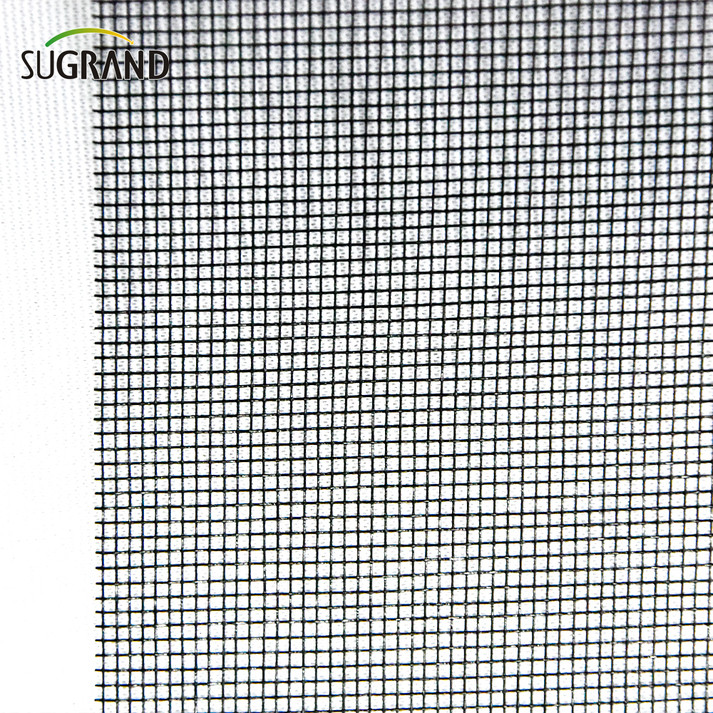 Fornitori di zanzariere in fibra di vetro con rete anti-insetto da 110 gsm