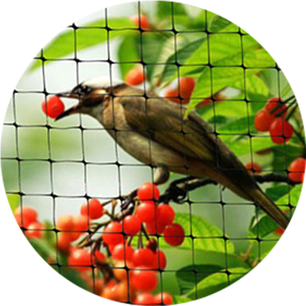 Rete di protezione per uccelli agricoli 100% HDPE 