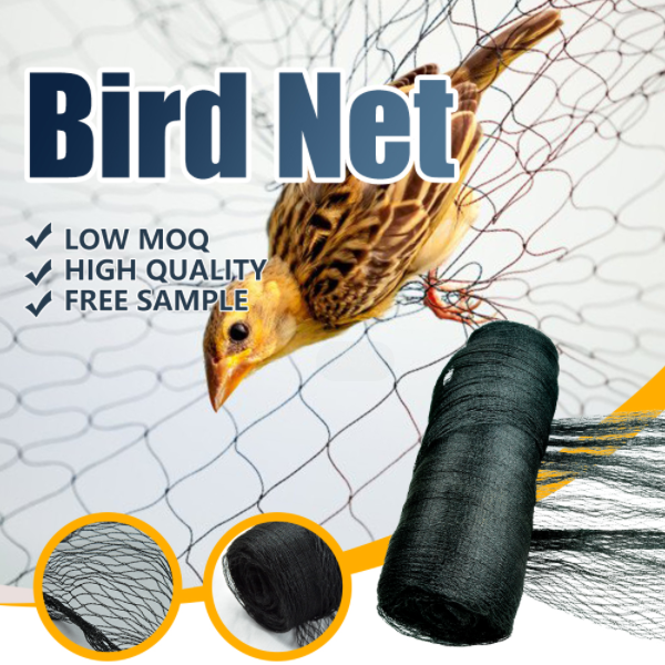 Come scegliere la rete anti-uccelli?