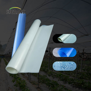 Fabbrica diretta 30 micron - 250 micron Pellicola per serra UV Pellicola per serra per agricoltura 