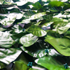 Foglie artificiali di foglie di palma artificiali per giardino