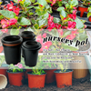 Vasi da semina per piante Vasi da fiori in plastica per trapianto di serra in PP per piante
