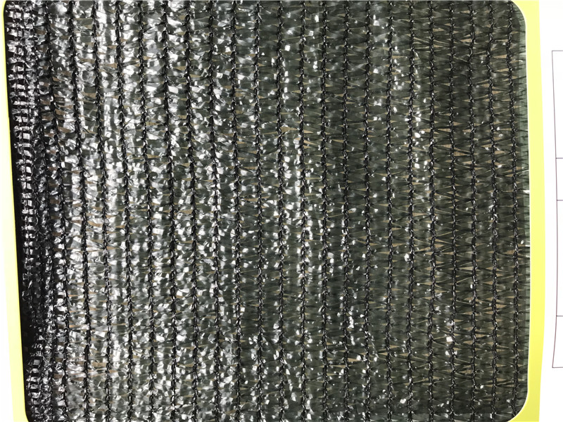 Senso comune di usare la rete tonalità nella serra vegetale