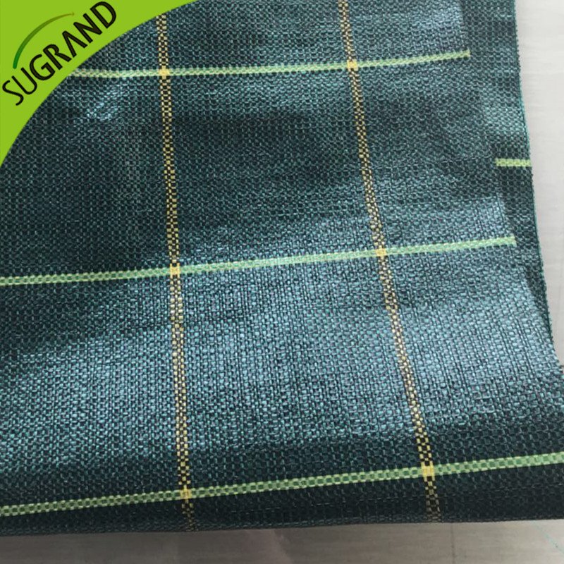 Tappetino verde di alta qualità da 130 g/m²