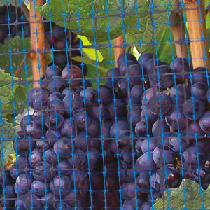 Come selezionare la rete anti uccelli?