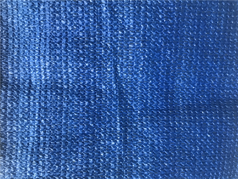 Come usare correttamente l'ombra della rete?