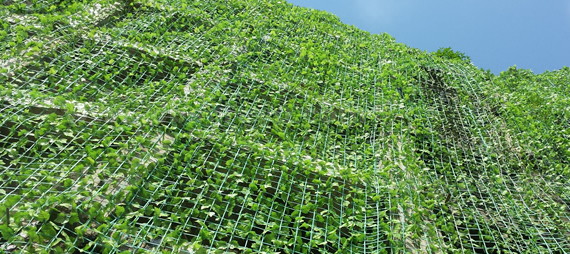 Quali materiali vengono utilizzati per rendere netta gli uccelli e il supporto delle piante?