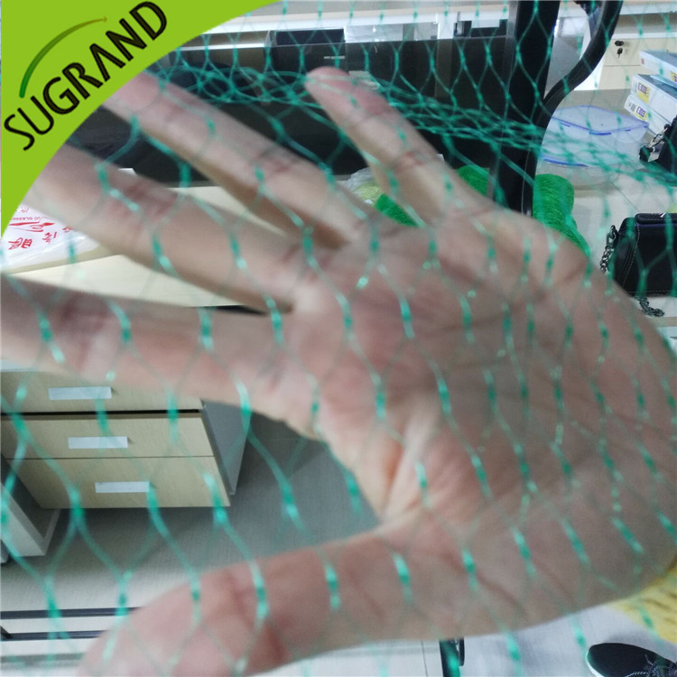 Come installare correttamente la rete per uccelli