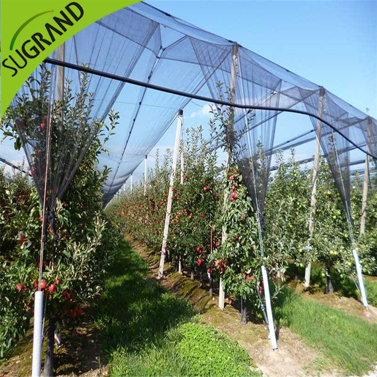 Nuovo HDPE nero anti Bee Net online