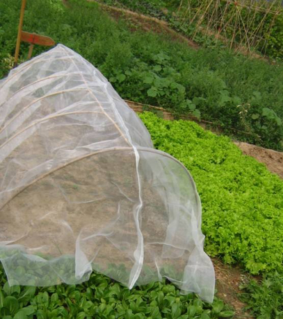 anti insect net.jpg