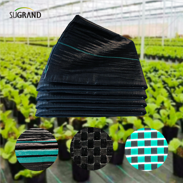 Cose che non sai sul tappetino per erbacce