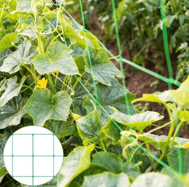Agro plastica traliccio reti
