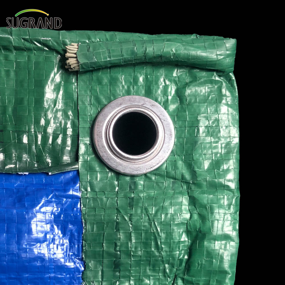 Tela di plastica impermeabile PE Tarpaulin blu-verde per agricoltura