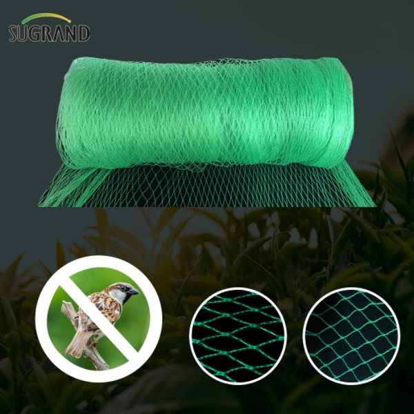 Come scegliere la rete anti-bird