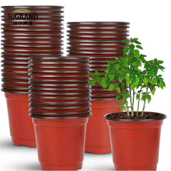 Suggerimenti per i vassoi delle piantine