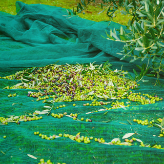 Rete per olive Premium per la raccolta delle olive