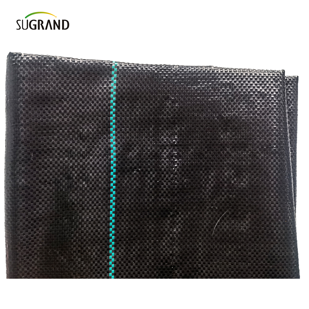 Applicazione ed effetto del tappetino anti diserbo