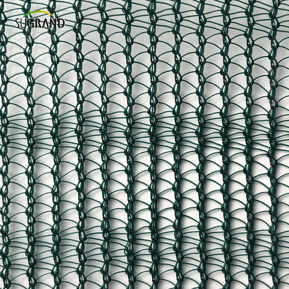 Net oliva