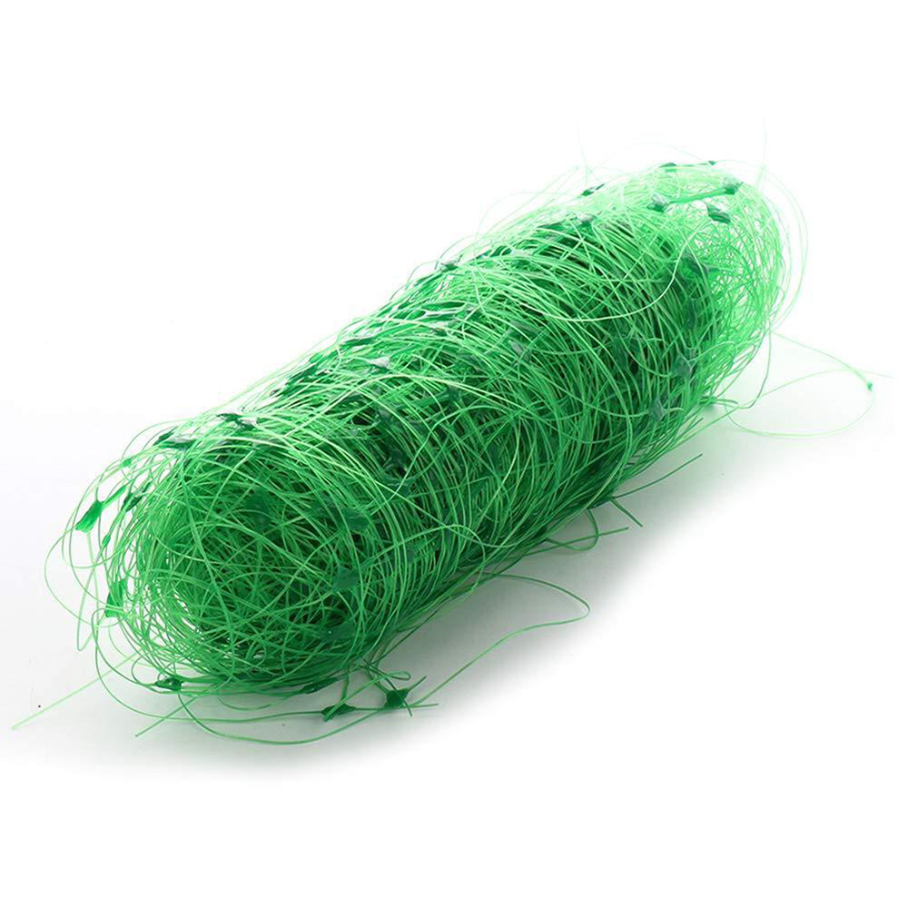 Calcing Plant Net