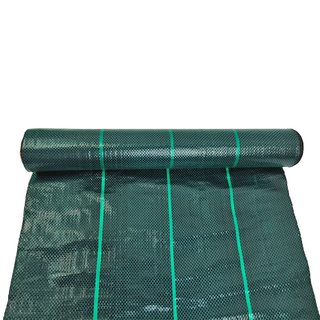 Copertura a terra 104GSM verde scuro