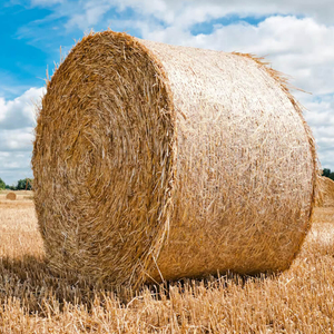 Rete per balle di pallet Rete per avvolgimento di insilato all'ingrosso