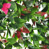 Cinese Factory Pvc 260 cm Muro di erba artificiale per cortile