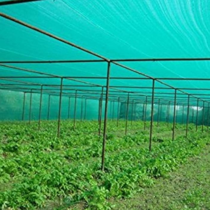 Greenhouse all'ingrosso o giardino Green Sun Shade Ret in vendita in vendita