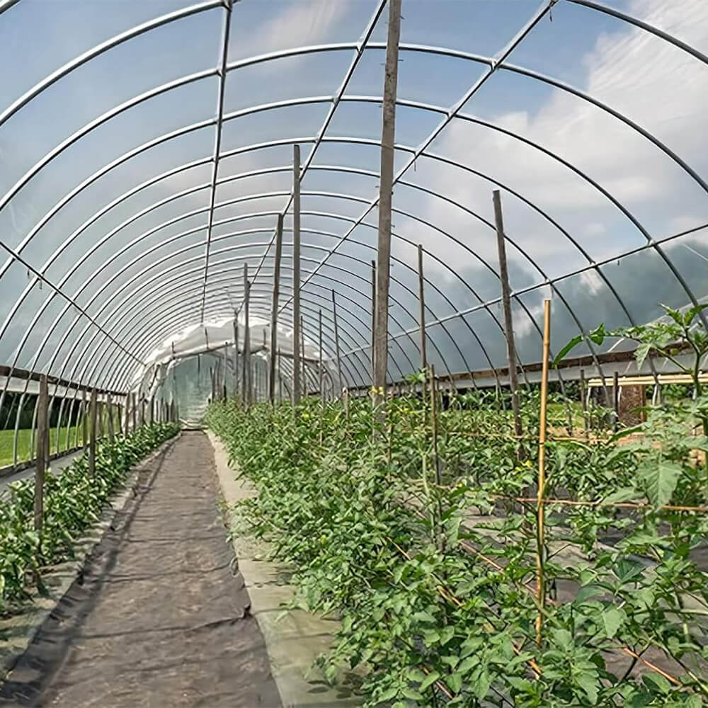 Pellicola in plastica in plastica in polietilene