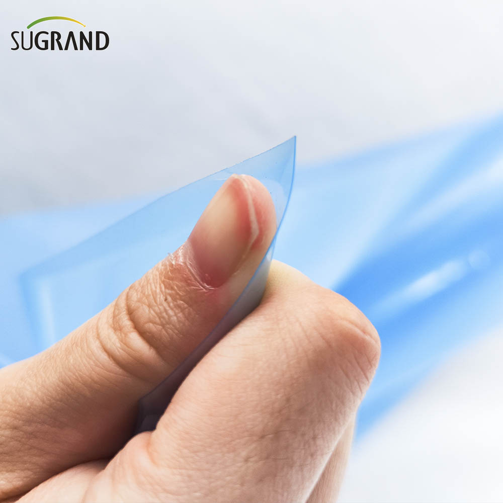 fabbrica cinematografica serra