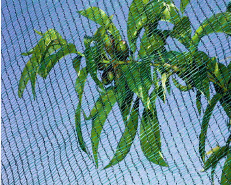reti antigrandine per giardini all'ingrosso