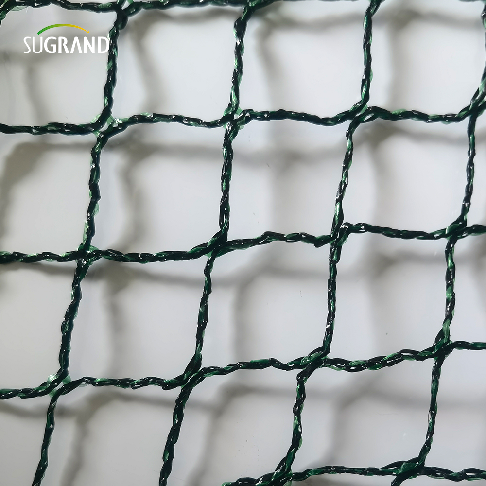 Repubblica ceca 100% HDPE+UV 25GSM 20*20mm Mesh 5*6/12M Agricoltura verde nero Cattura della nebbia di uccelli
