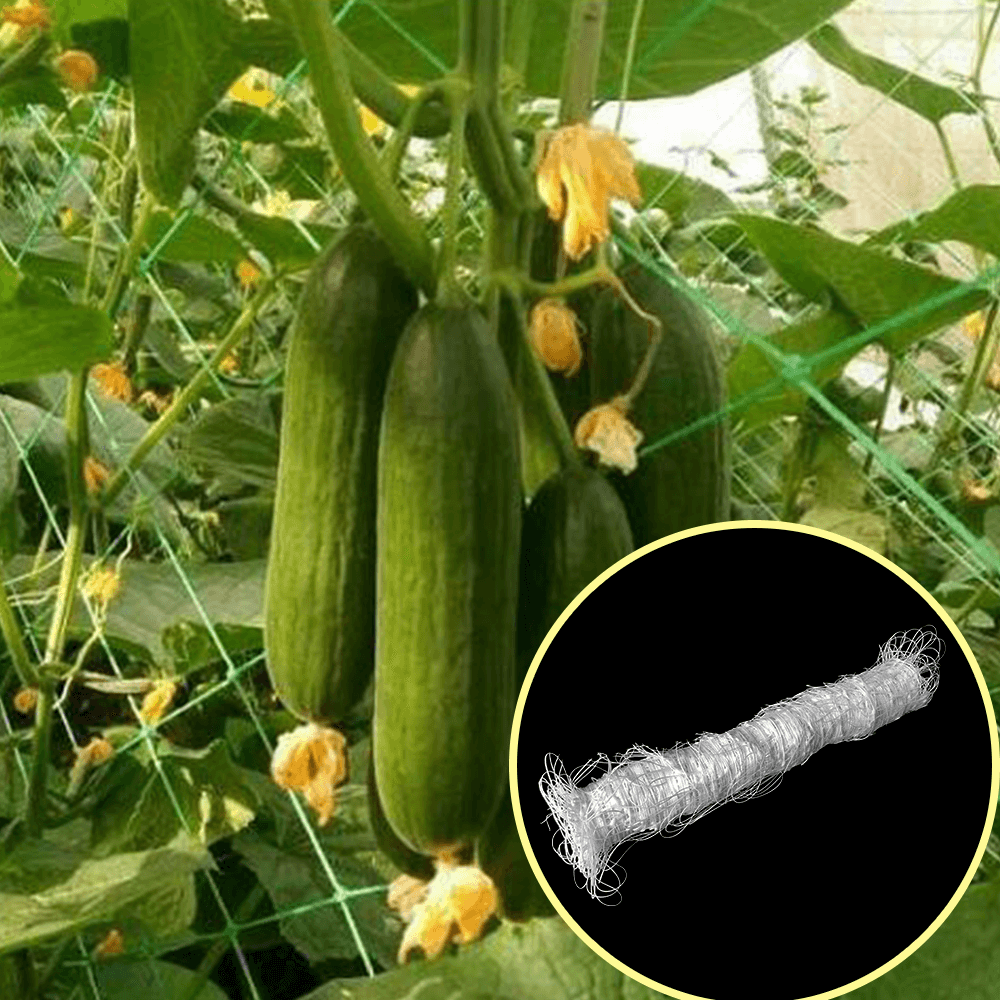 Rete di supporto per piante da giardino per piante rampicanti da esterno