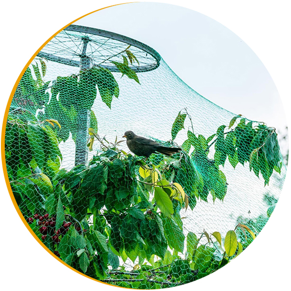 Wholesale Knitting Bird Net