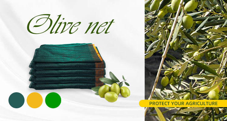 Rete verde oliva da 56 gsm
