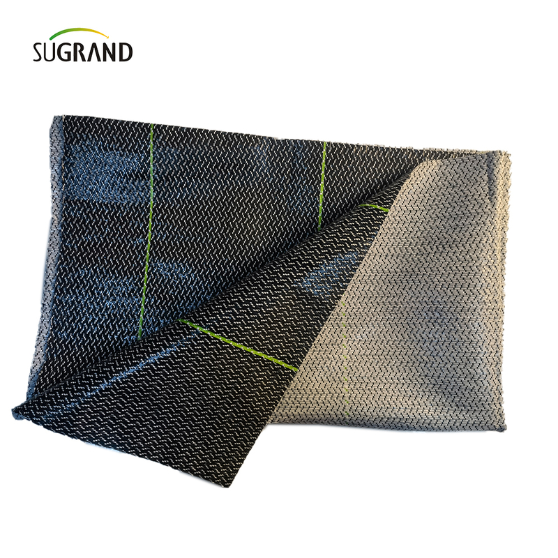 PP+UV 100G, 130G 1M/1,8 m/5,2m*100m Fornitore di copertura del terreno bianco nero