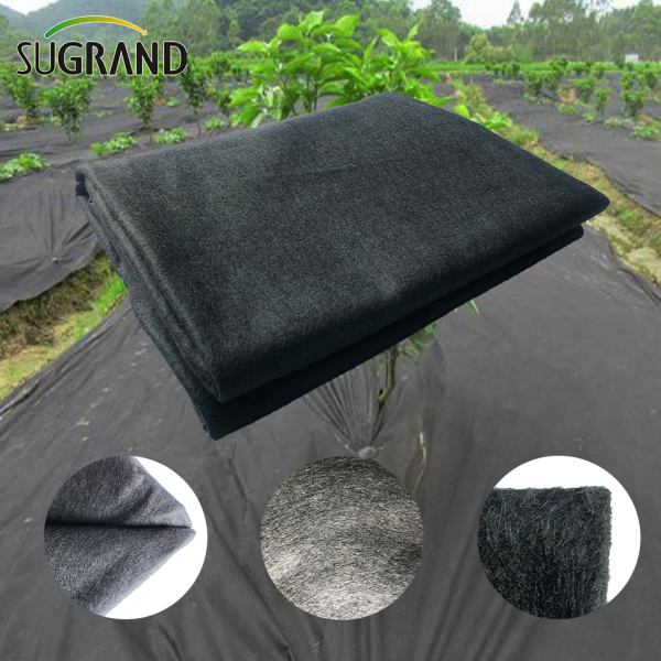 Le caratteristiche della raccolta delle piantine non tessute agricole