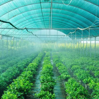 Rete ombreggiante a tre aghi con nastro verde