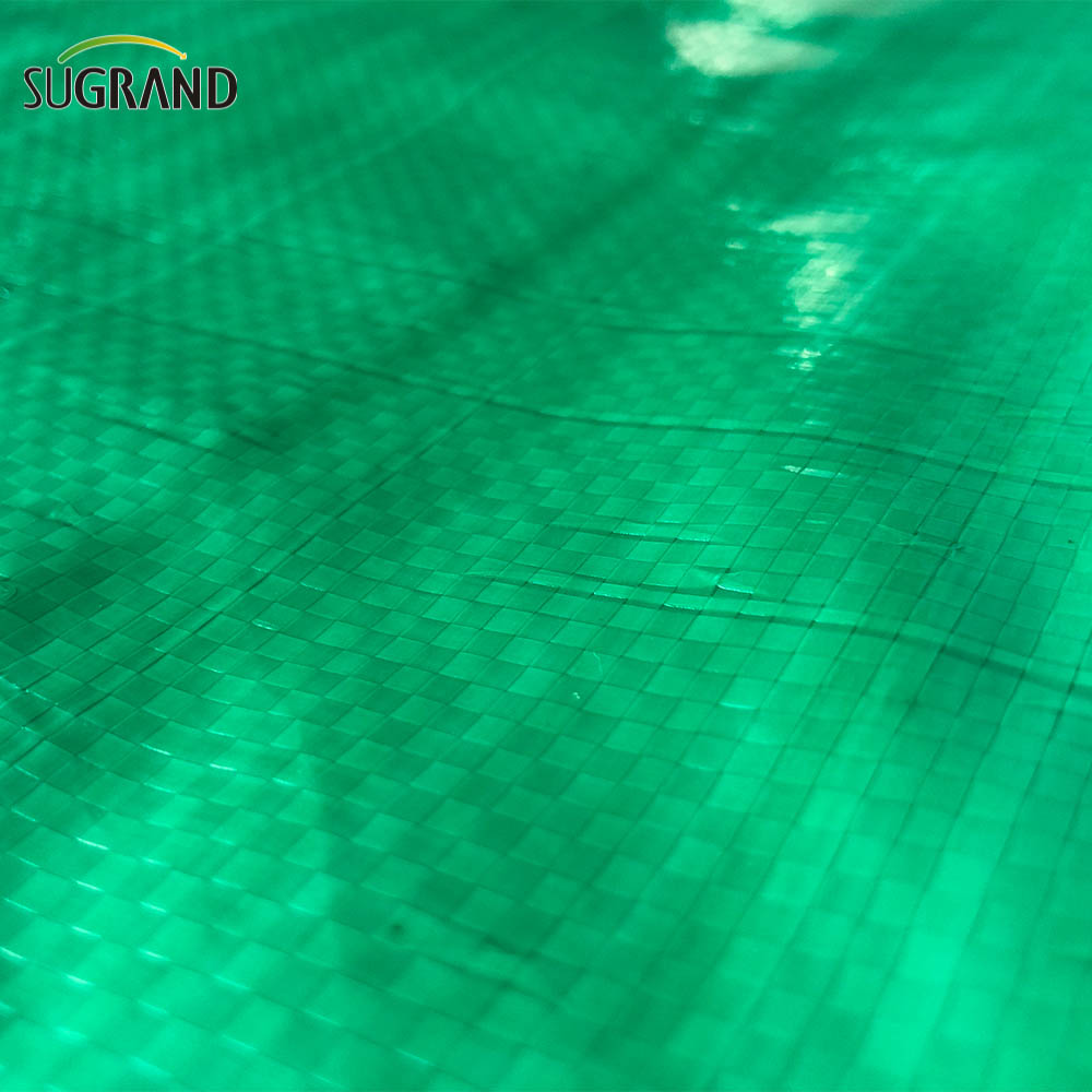 Teloni protettivi in ​​tela cerata verde per impieghi gravosi 2,5x3,6 m