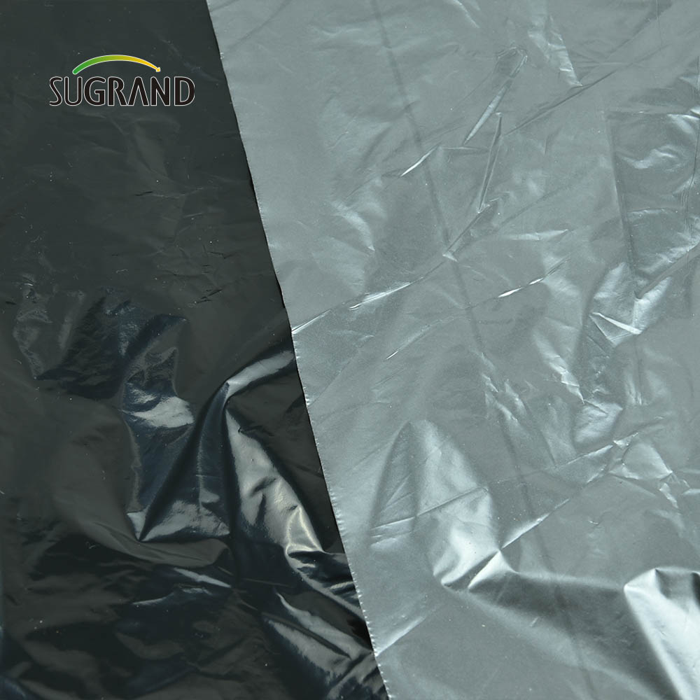 Cina Manufactory Silver Black LLDPE Agricoltura Film di pacciamatura in plastica per serra