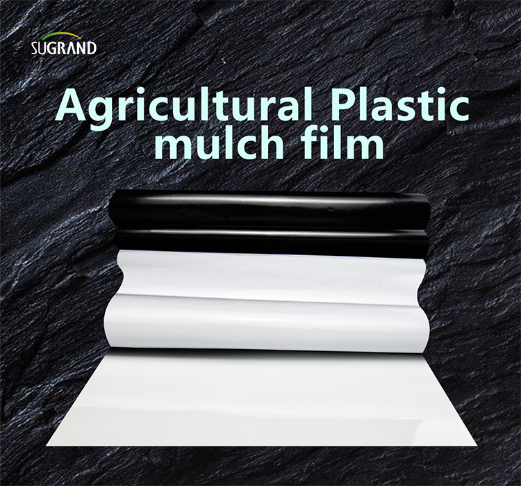 biotelo film per pacciamatura biodegradabile