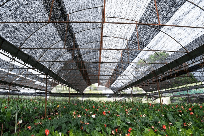 rete ombreggiante nera