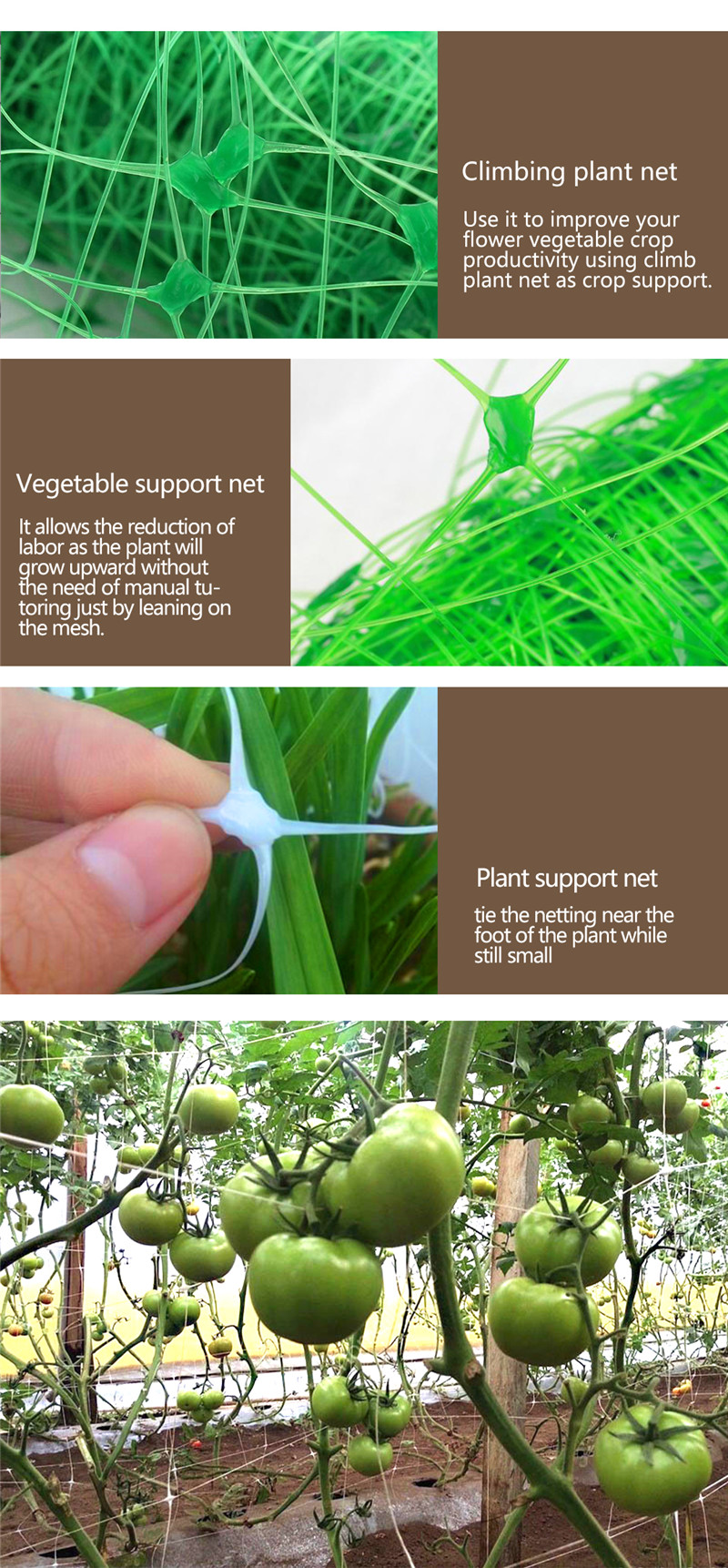 rete di sostegno delle piante 7