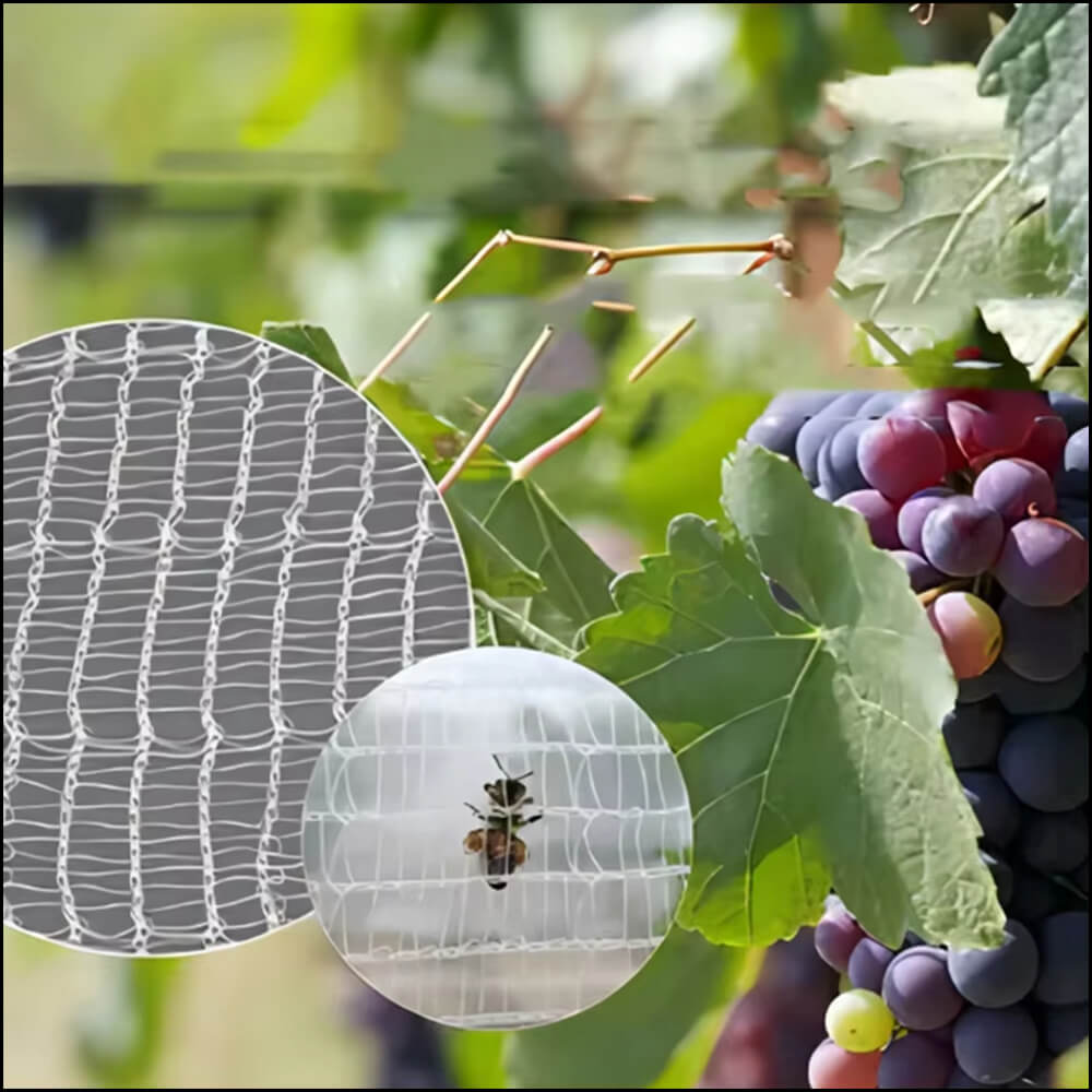 Azienda netta anti -ape