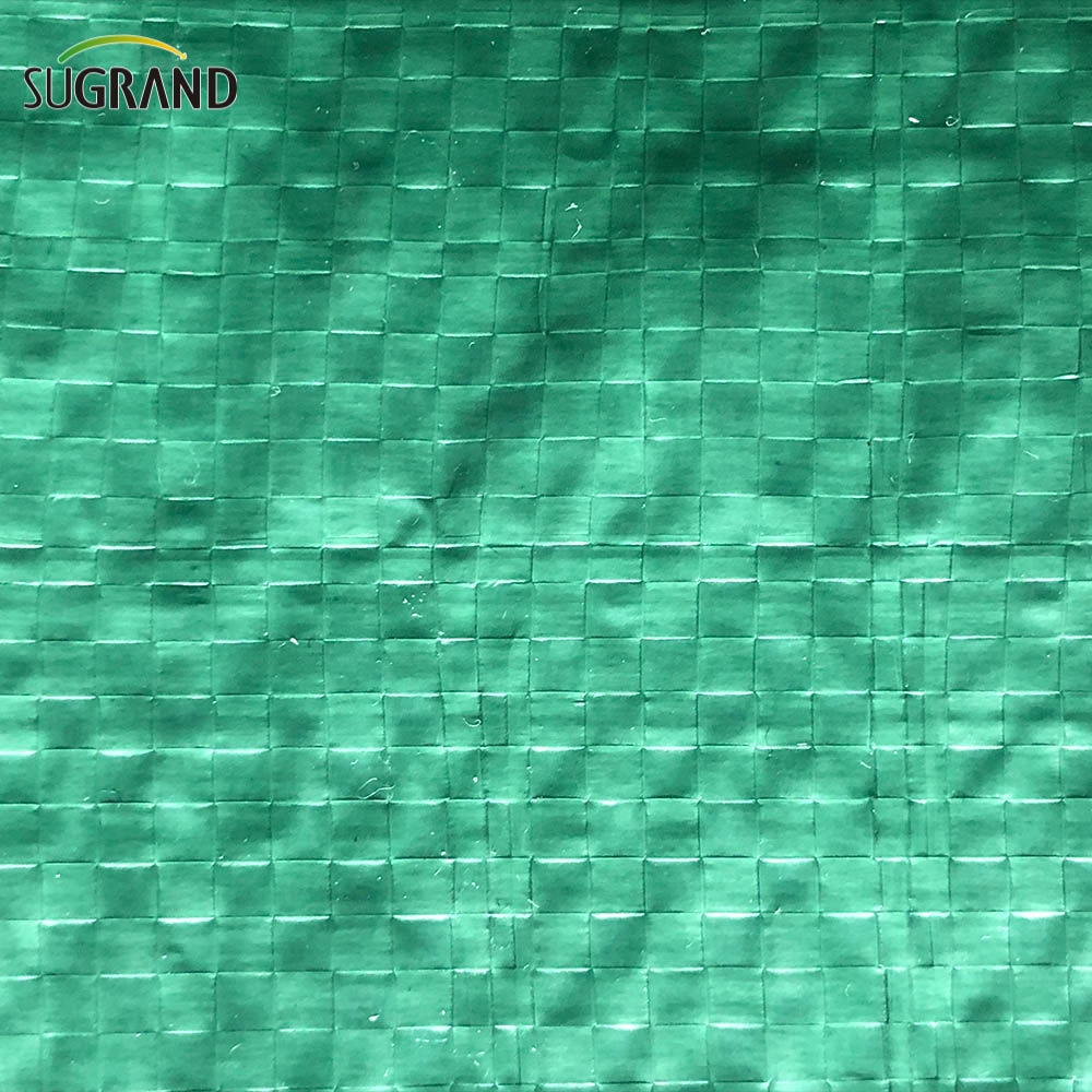 Tela di plastica impermeabile PE Tarpaulin blu-verde per agricoltura