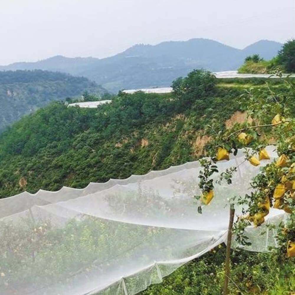 Rete antigrandine lavorata a maglia di alta qualità per vigneti
