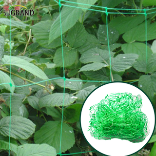 Rete di supporto per piante verdi da 10 GSM/rete per fagioli